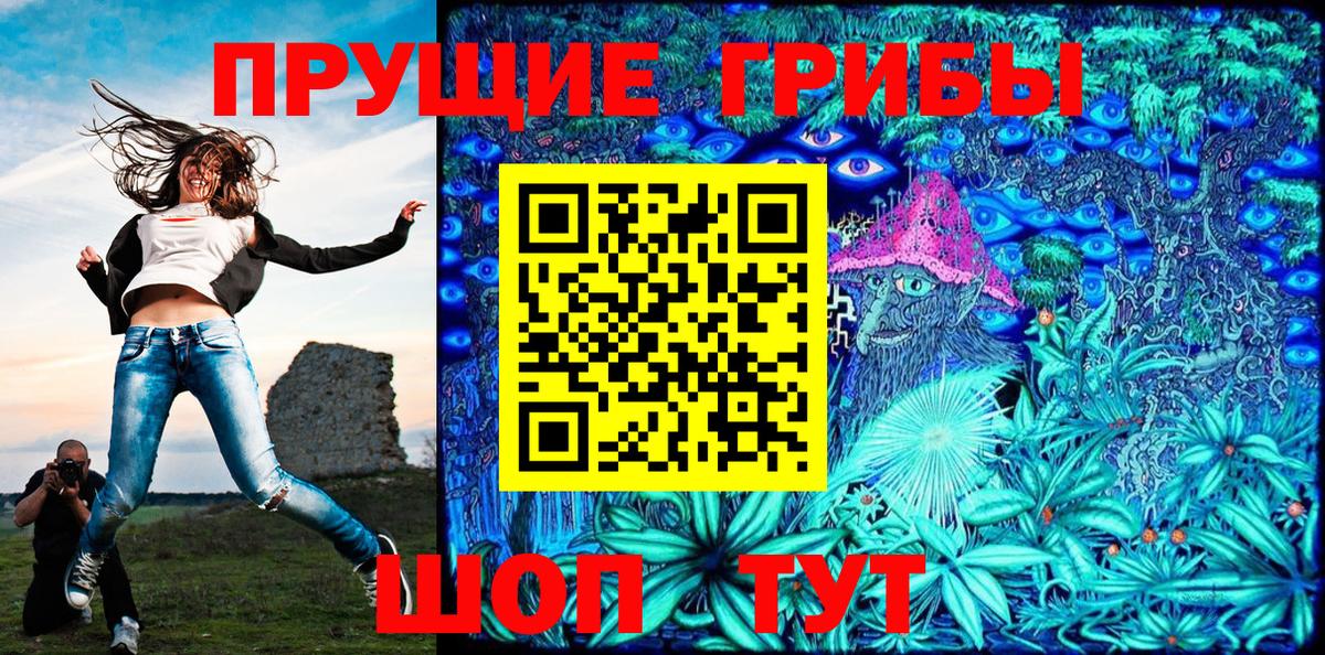Псилоцибиновые грибы Psilocybine cubensis  где купить   Псилоцибиновые грибы мицелий  Заречный  Вход с VPN 